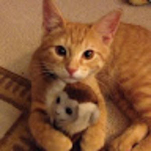 Meet your Posher, Ana